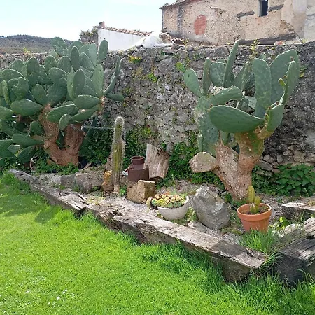 Dom wakacyjny Vista *