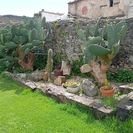 Vista Casa de Férias *